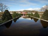 鬱金香花園