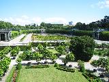 維也納，美泉宮後花園