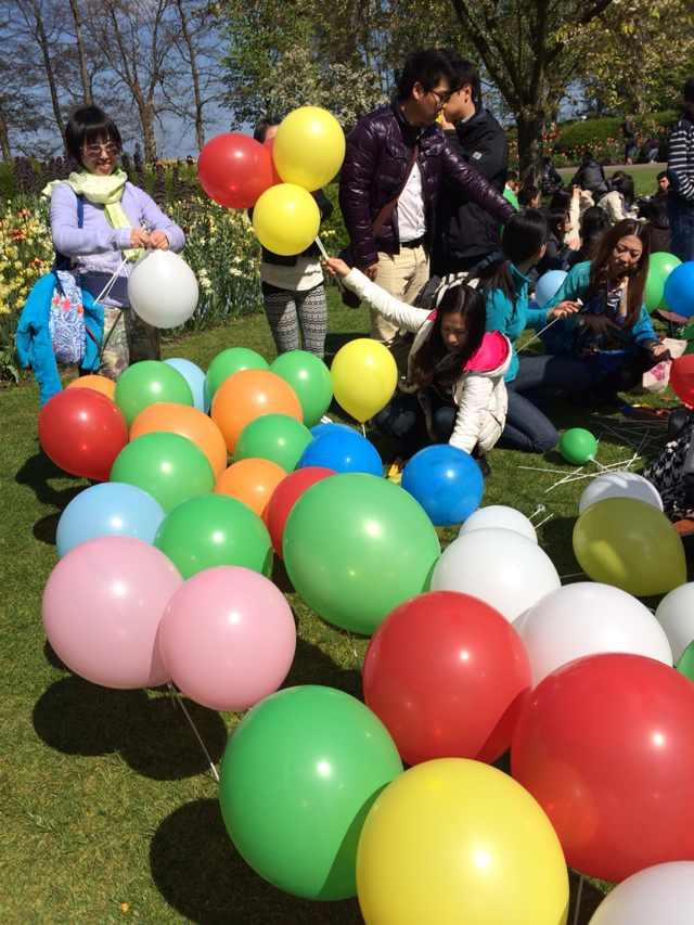 荷蘭賞花-卡爾斯魯厄 凱澤斯勞滕、海德堡3日線