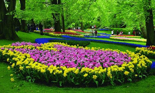 荷蘭賞花-科騰、梅澤堡3日線