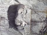 瑞士南法風情遊（慕尼黑線）