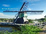 he lan jiao gang, South Holland, Netherlands