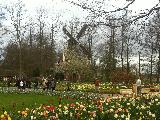 Keuenhof, North Rhine-Westphalia, Germany