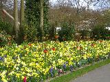 Amsterdam, North Holland, Netherlands
