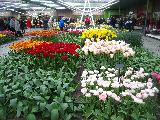 Amsterdam, North Holland, Netherlands