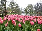 South Holland, Holland