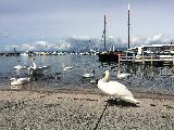 洛桑, Vaud, Switzerland