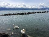 洛桑, Vaud, Switzerland