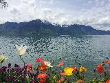 蒙特勒, Vaud, Switzerland