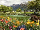 因特拉肯, Bern, Switzerland