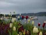 蒙特勒, Vaud, Switzerland