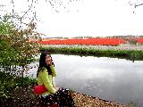 庫肯霍夫公園