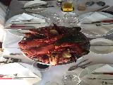 遊輪龍蝦餐