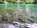 Plitvice Seen, Ličko-Senjska, Croatia
