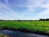 Schans, Limburg, Netherlands