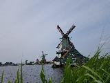 he lan jiao gang, South Holland, Netherlands