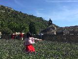普羅旺斯蔚藍海岸夢幻之旅