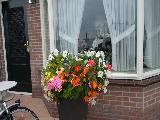 amstrdam, North Holland, Netherlands