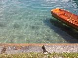 布萊德, Bled, Slovenia