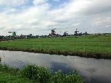 風車村