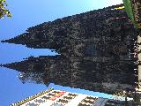 科隆