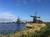 荷蘭賞花之旅-南線