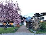 因斯布魯克