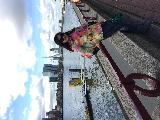 荷蘭賞花之旅-南線