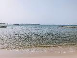 瑞士南法蔚藍海岸之旅