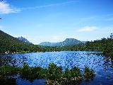 慕尼黑經典兩日遊