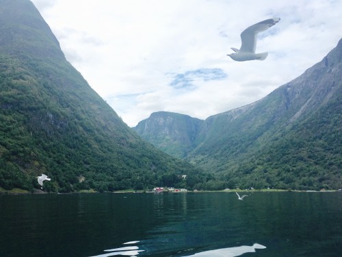 弗洛姆、松恩峽灣、哈當厄爾峽灣等