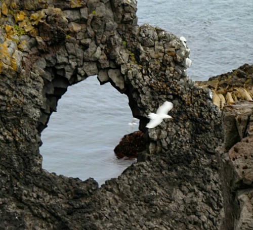 冰島