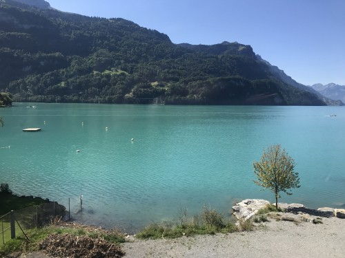 【奇峯湖泊，親近自然】德瑞雙國，金色快車之旅