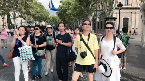 巴塞南法循環線