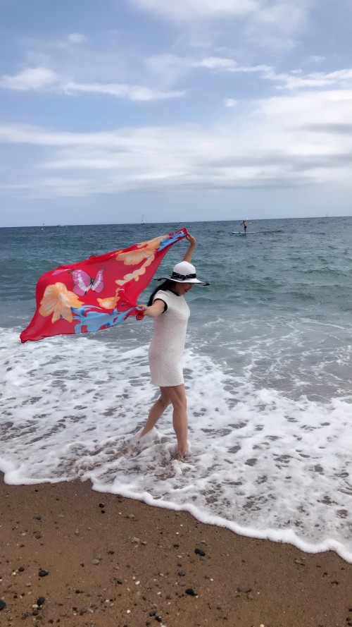 巴塞南法循環線