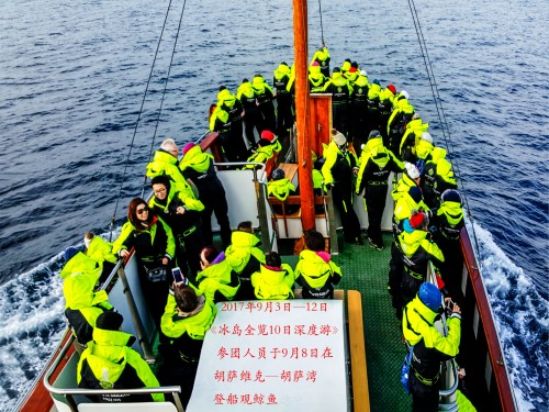 胡薩維克觀鯨魚