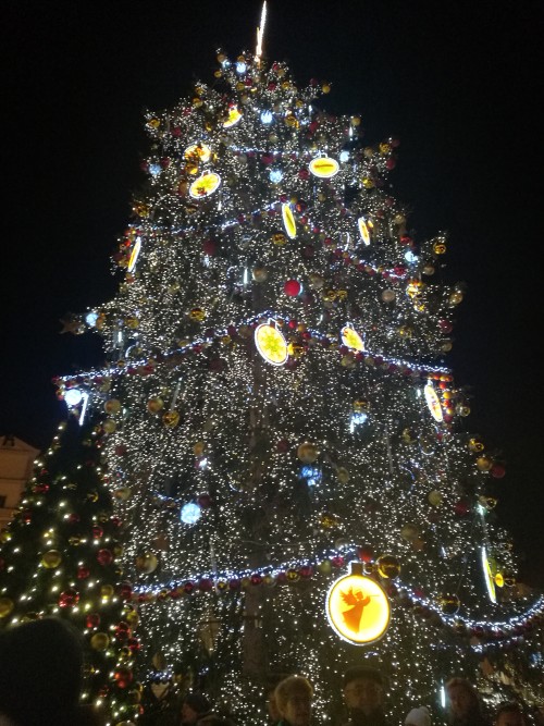 東歐波西米亞風情遊