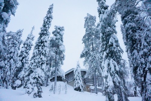 Lapland