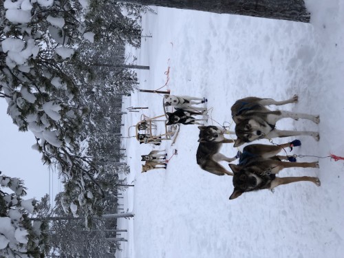 Saariselän
