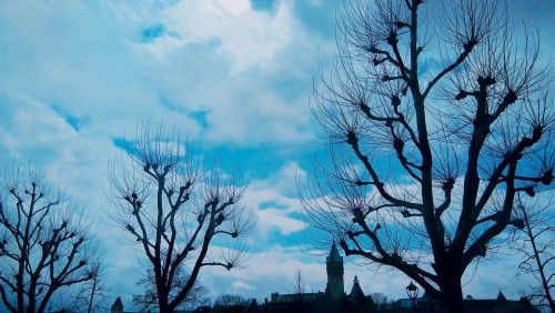 Last Minute - 遍遊西歐