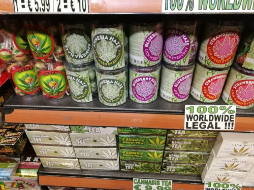 荷蘭賞花之旅-西線