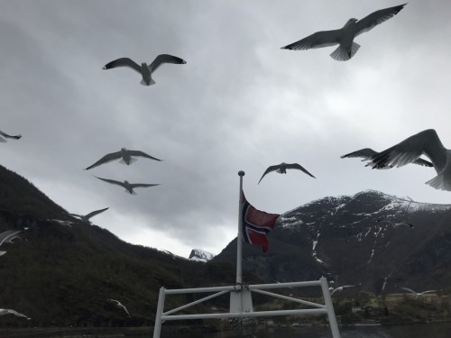 北歐峽灣之旅