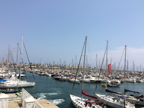 巴塞南法循環線