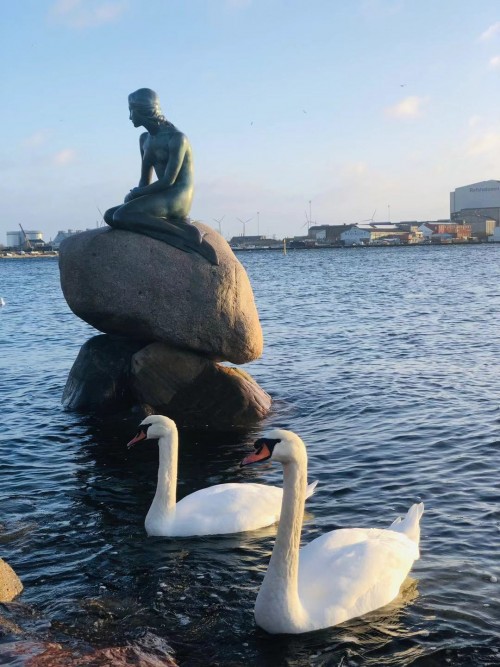 波羅的海沿岸