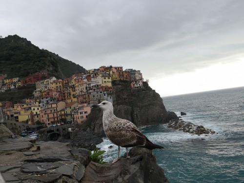 意猶未盡義大利7天6晚深度遊