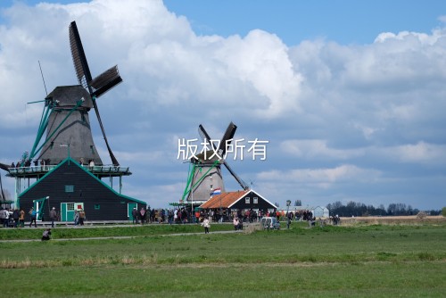 荷蘭
