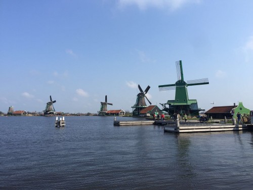荷蘭賞花之旅-西線
