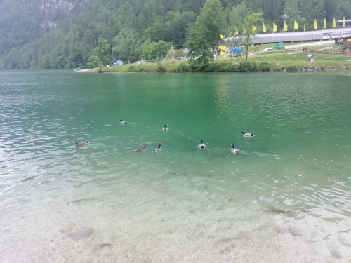 慕尼黑一日遊B線：國王湖+魔法森林