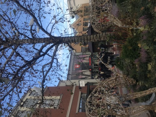 Ingolstadt Village 購物之旅