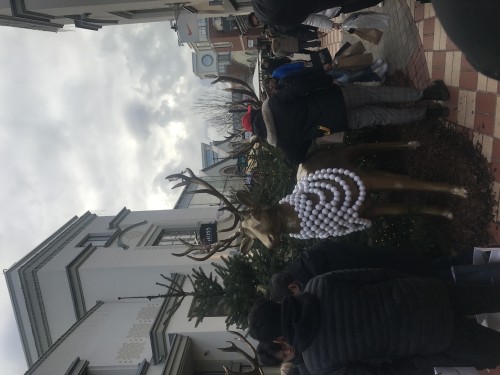 Ingolstadt Village 購物之旅